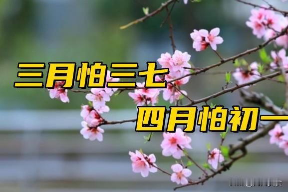 老话“三月怕初七，四月怕初一”，明日四月初一到底怕啥？看老人咋说？民间老话