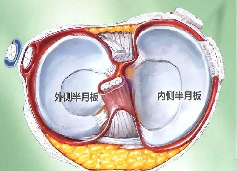 膝盖“咔嚓”一声的时候，你知道它在说什么吗？它在告诉你，青春的那张无限透支卡，