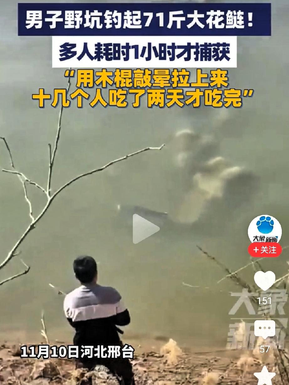 那一瞬间，贾先生以为钓竿挂住了水下的石头或树根。但下一秒，一股来自深渊的巨力，让