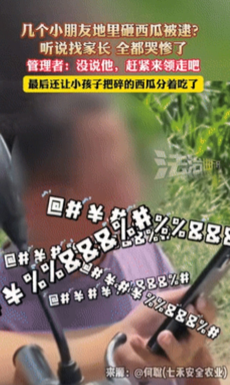 笑麻了！”浙江，几个小孩哥瓜田砸西瓜被逮到，一听瓜主要叫家长吓得嗷嗷哭！不料，最