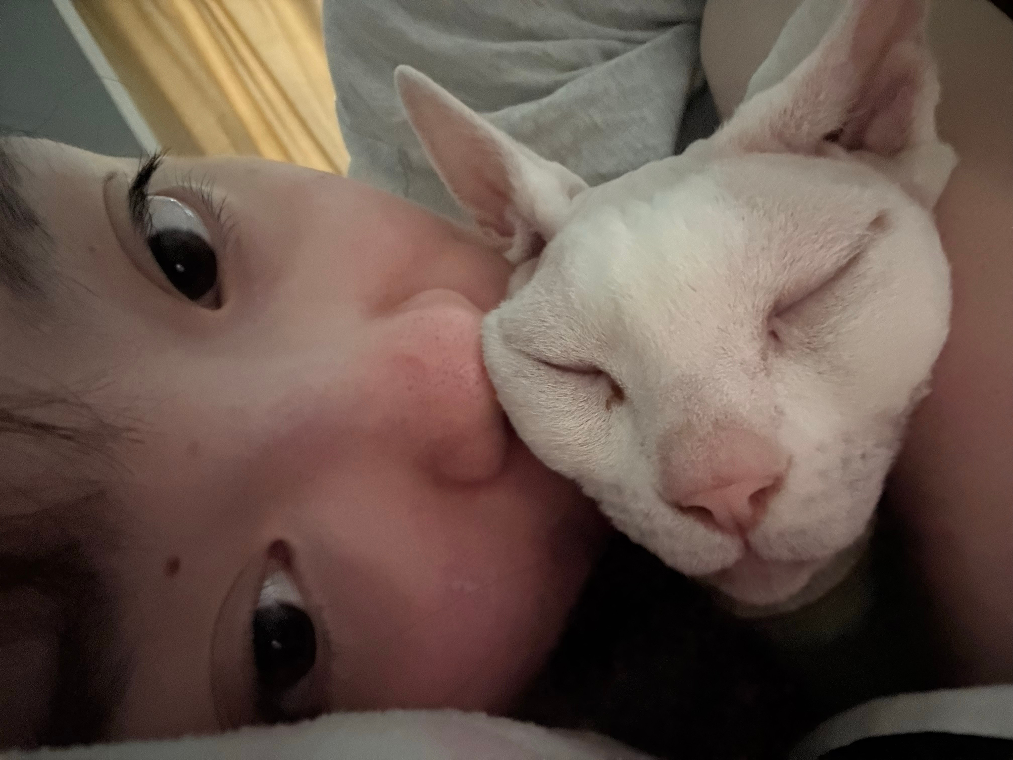 我会每天亲我的小猫亲一百遍一万遍​​​