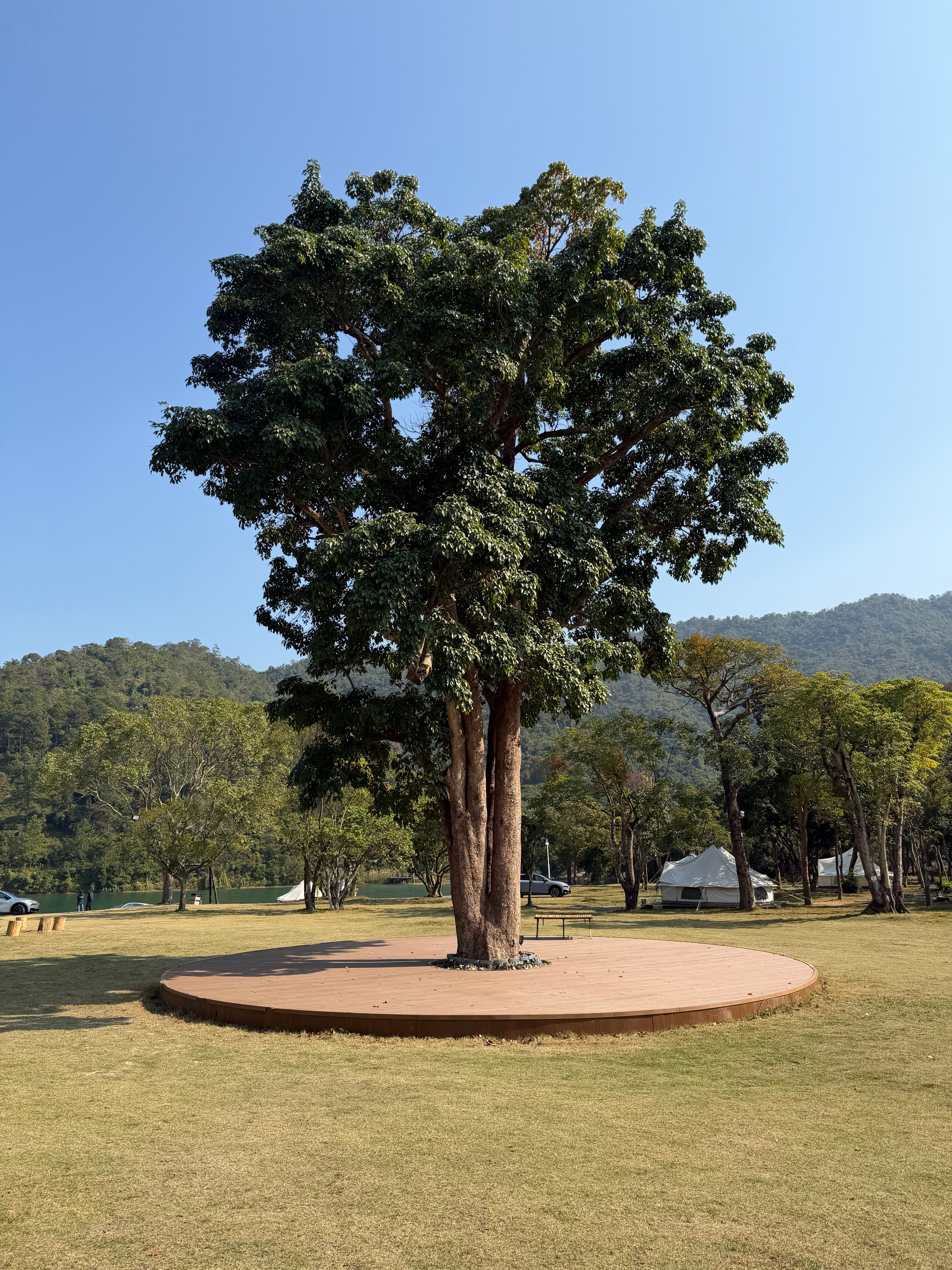 真想坐在湖边一整天啥也不想惠州·滨海旅游度假区