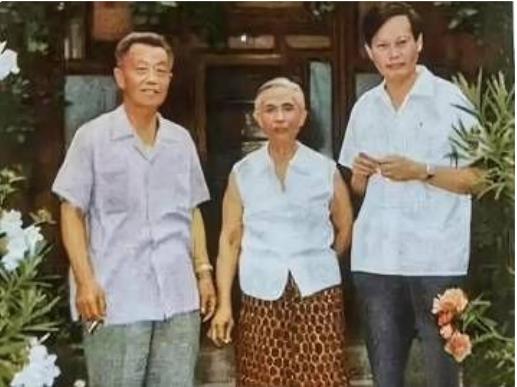 这是70年代，杨振宁和岳母曹秀清、岳父杜聿明，一张罕见的留影，照片中的他穿着白衬
