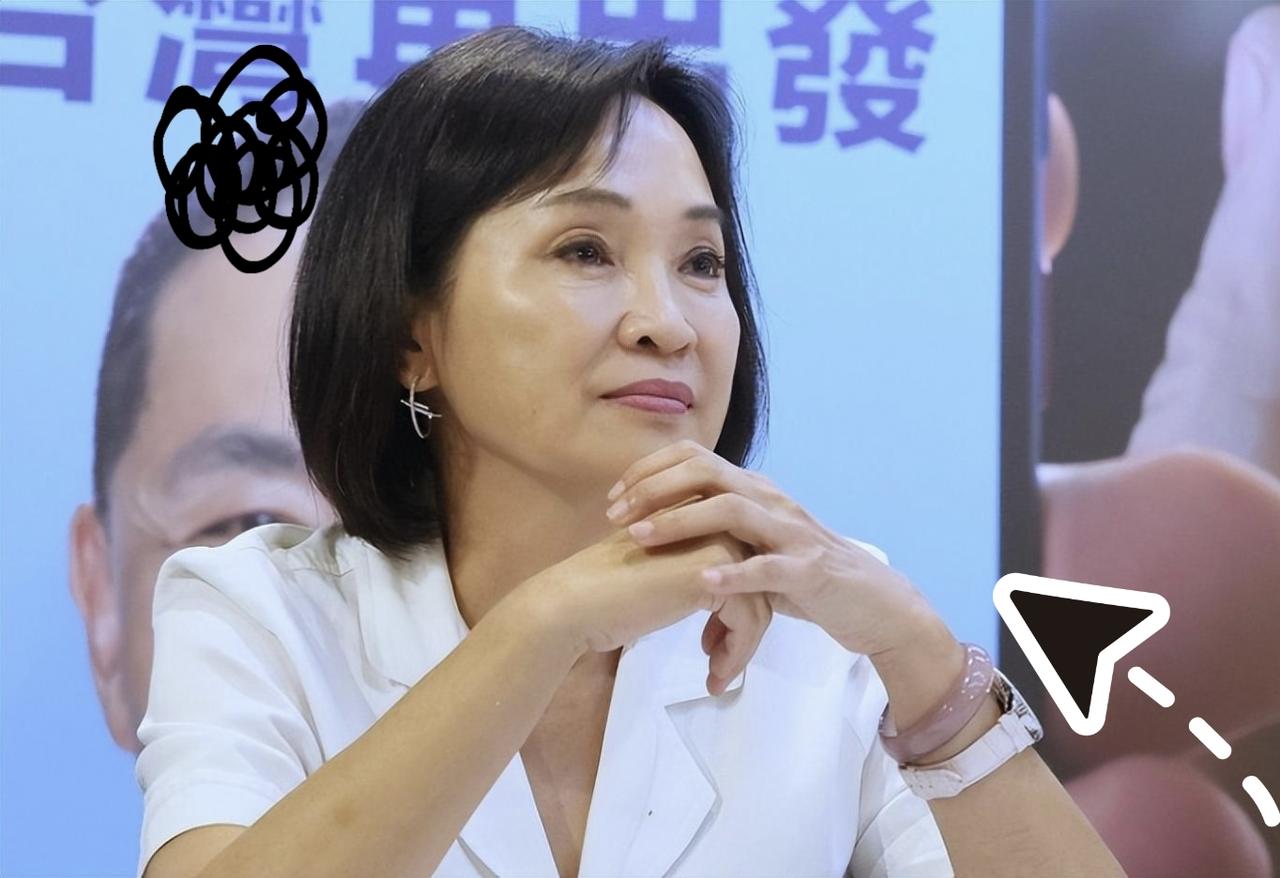 柯志恩参选高雄市长国民党面临选战考验2026年高雄市长选举，国民党征召前"