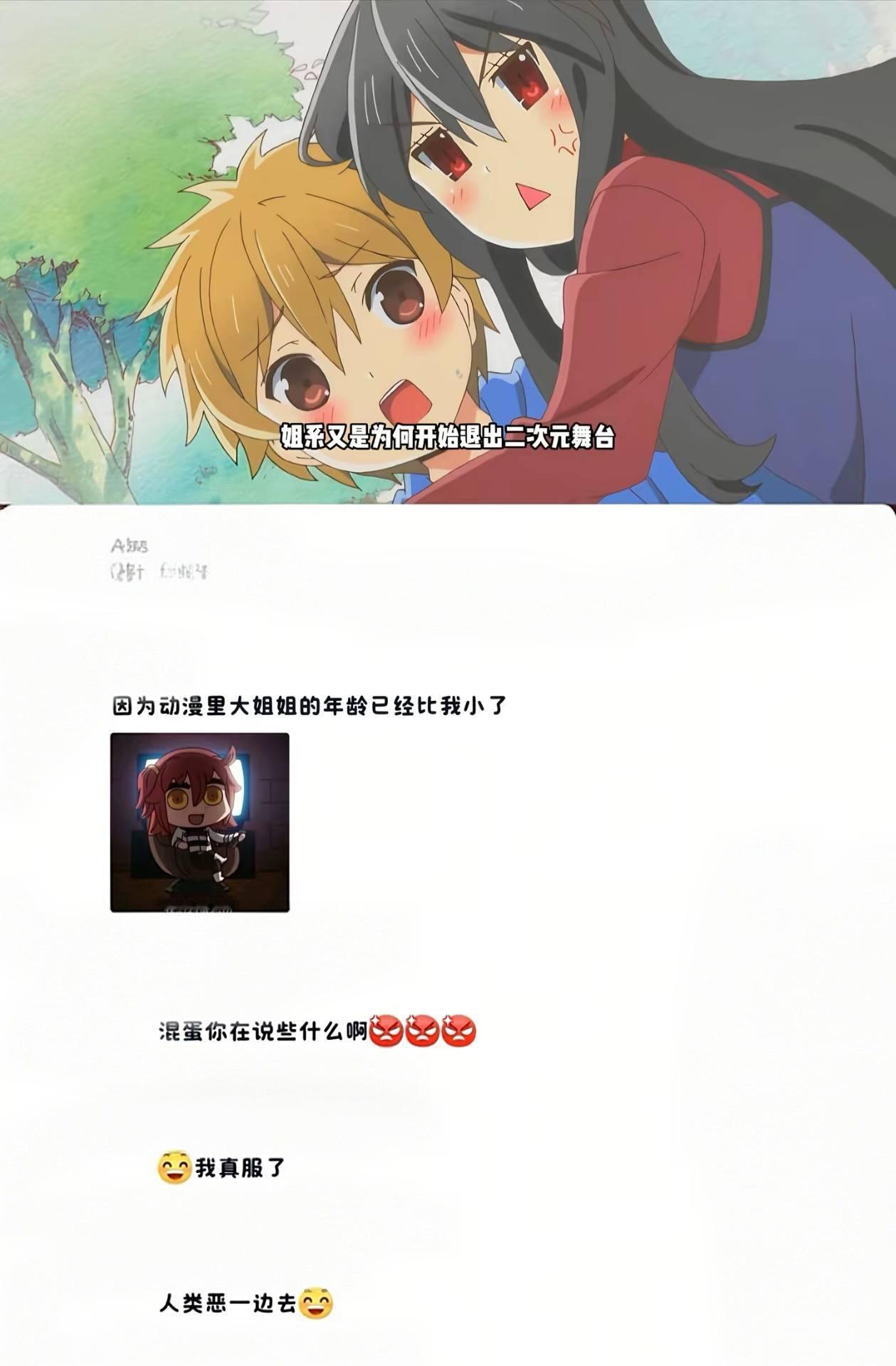 动漫里的大姐姐年龄已经比我小了