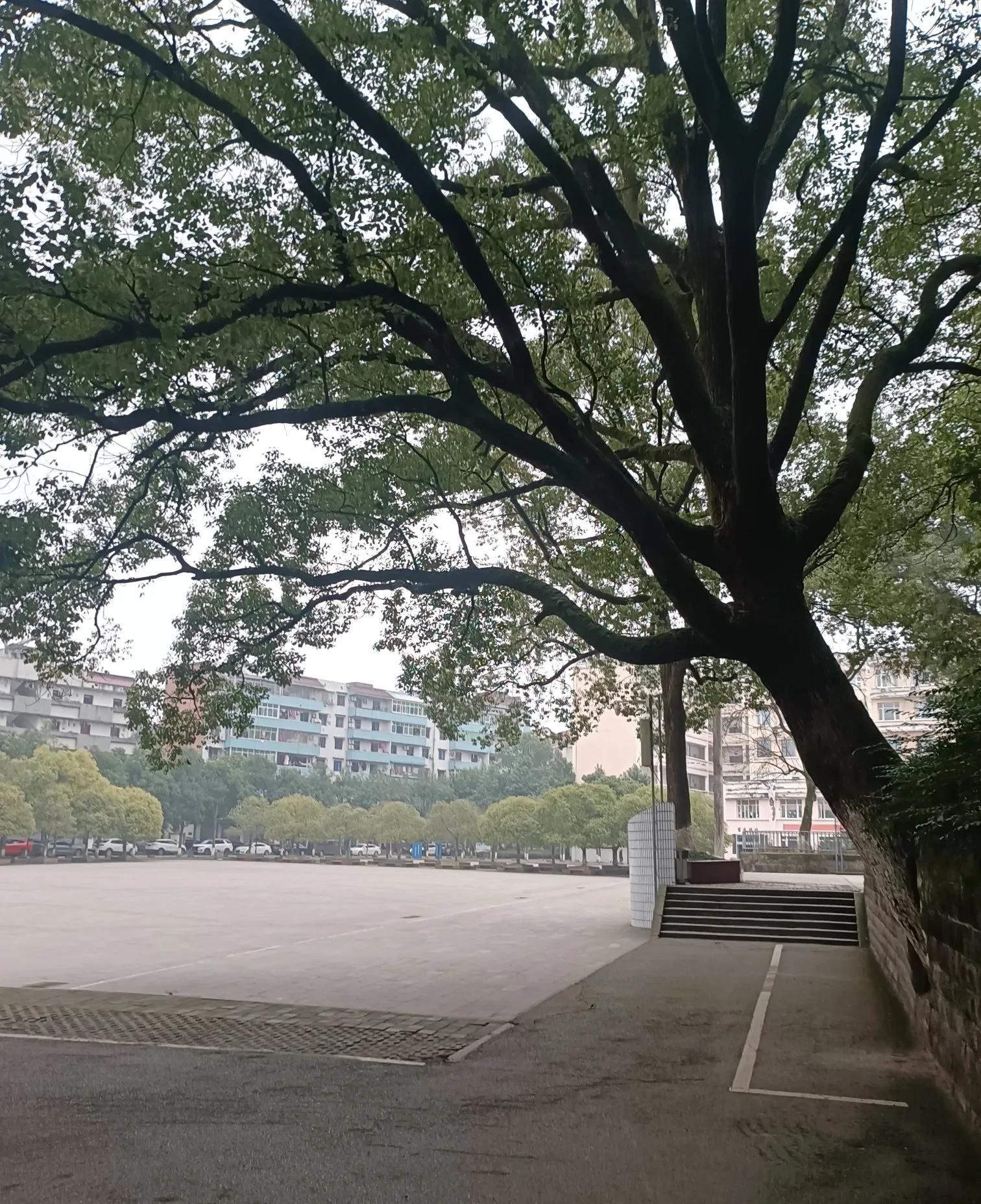 禁酒令一下，效果立竿见影。我们镇上的餐饮业者们最近愁眉苦脸，生意骤然清淡