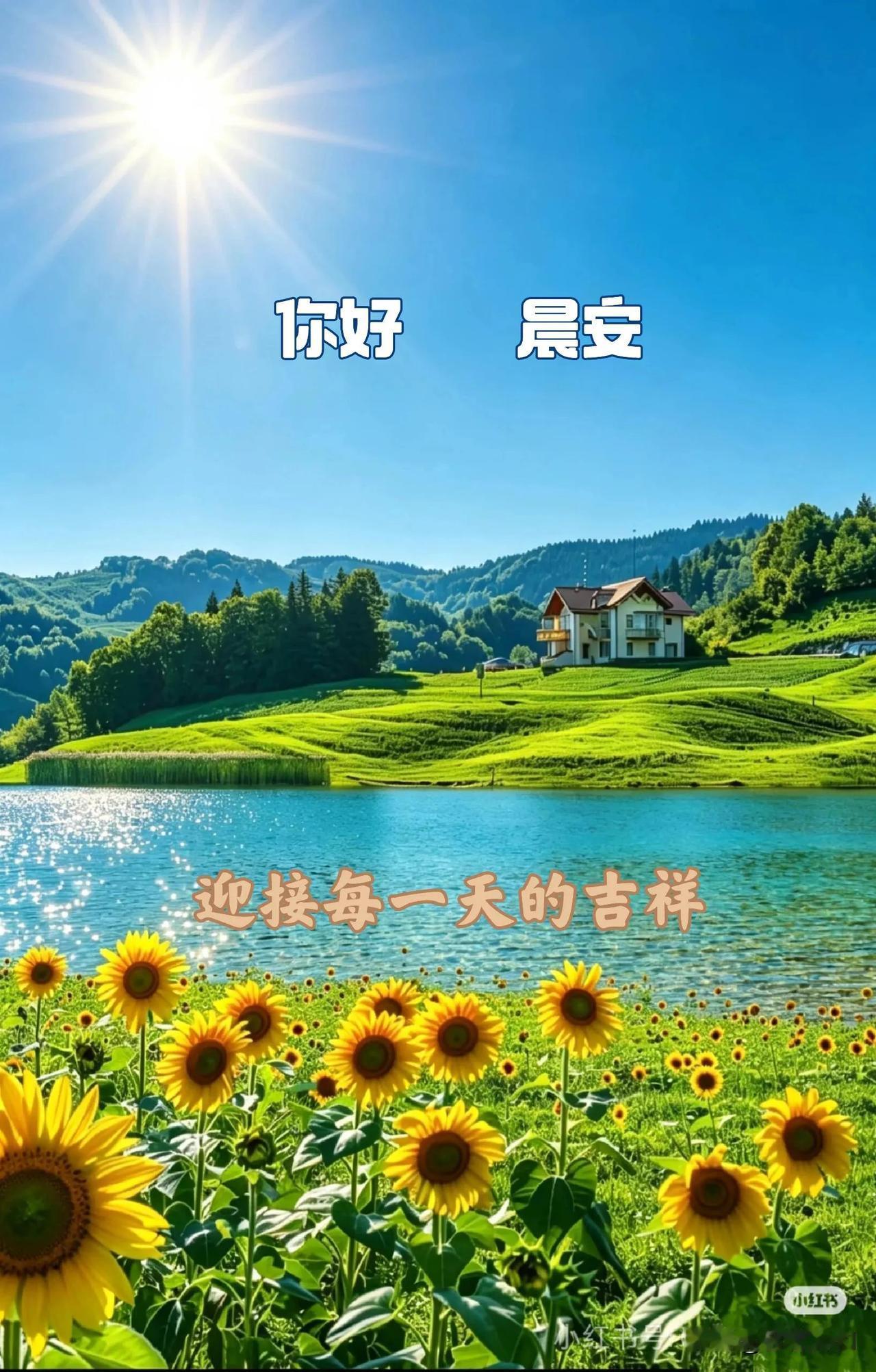 晨起有暖阳，心中有温柔，岁岁年年皆安康