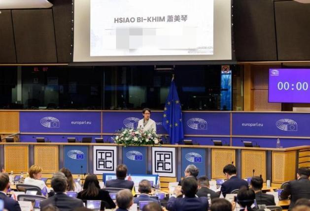 11月8日，突然传出消息，台湾地区的所谓“副总统”萧美琴和“外长”林佳龙被邀请前