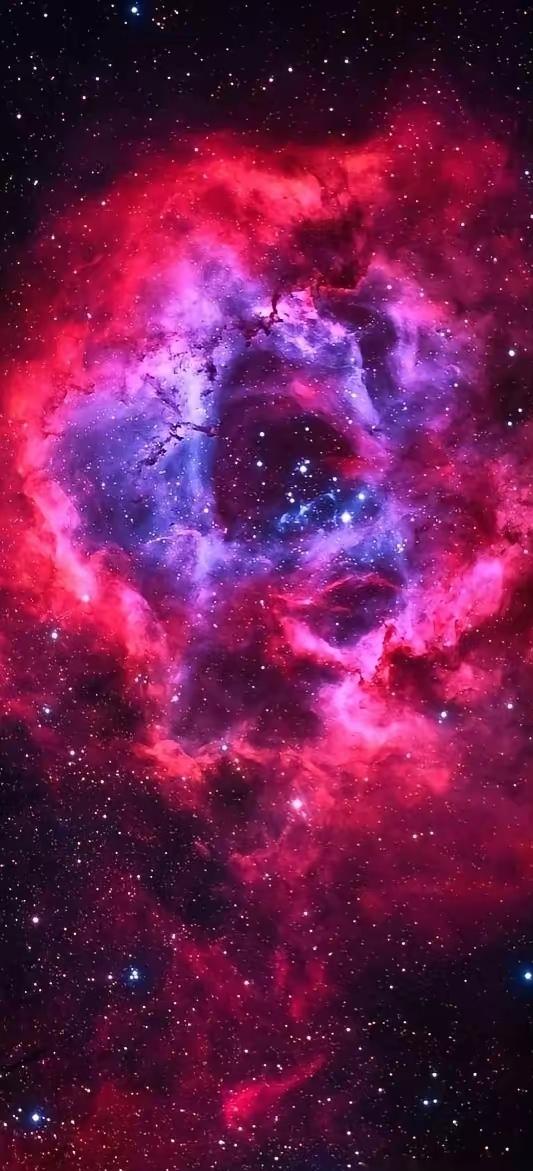 有人送的玫瑰过几天就蔫了，但宇宙给你的这朵“花”，在几百万光年外已经开了几亿年啦