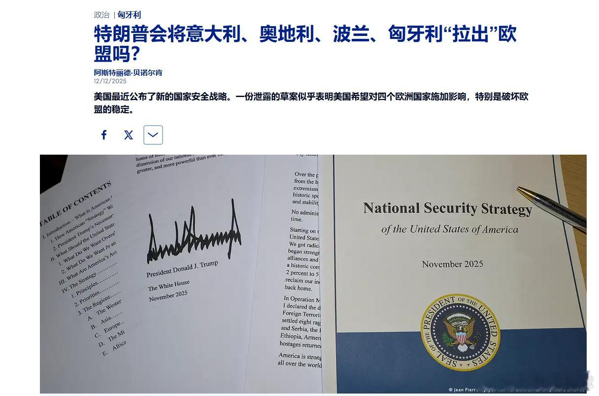 据称是一份名为“MakeEuropeGreatAgain”（让欧洲再次伟大