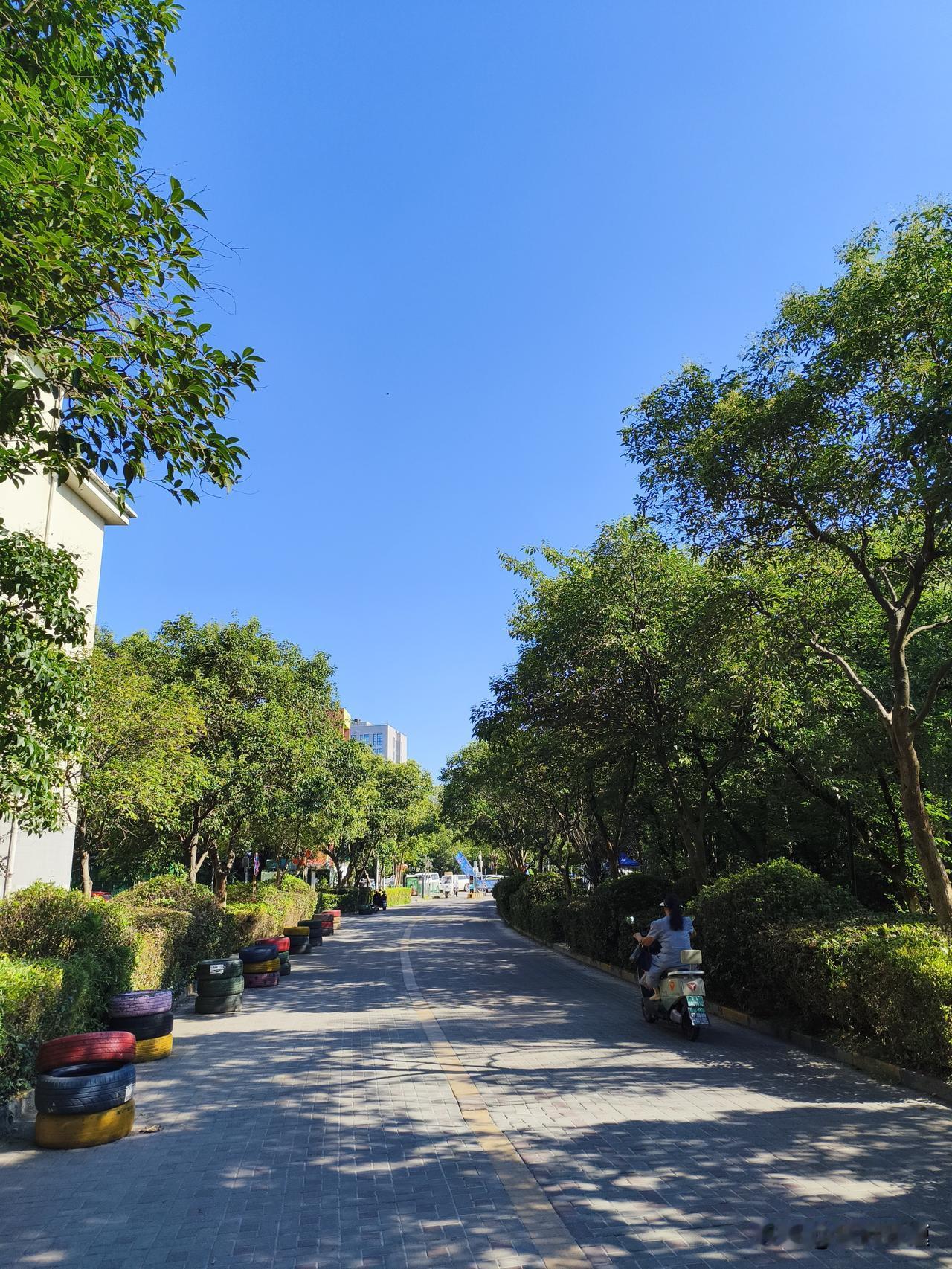 今年这立秋情况有点复杂。2026年8月7日19点42分立秋，按农历月份是六月二十