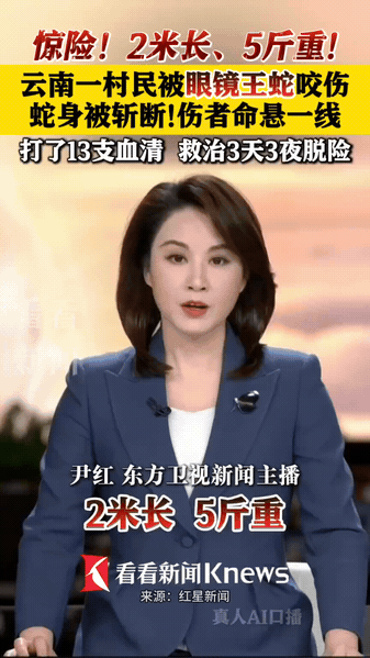 俗话说“打蛇不死反成仇”，2026年5月10日，媒体就报道了一起惊险的眼镜王蛇伤