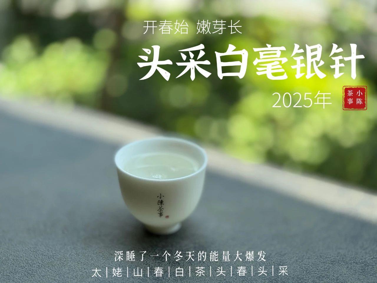 白茶泡完别急着倒掉，记住做3件事当你喝完了一泡白茶，别急着把叶底倒掉。①先看