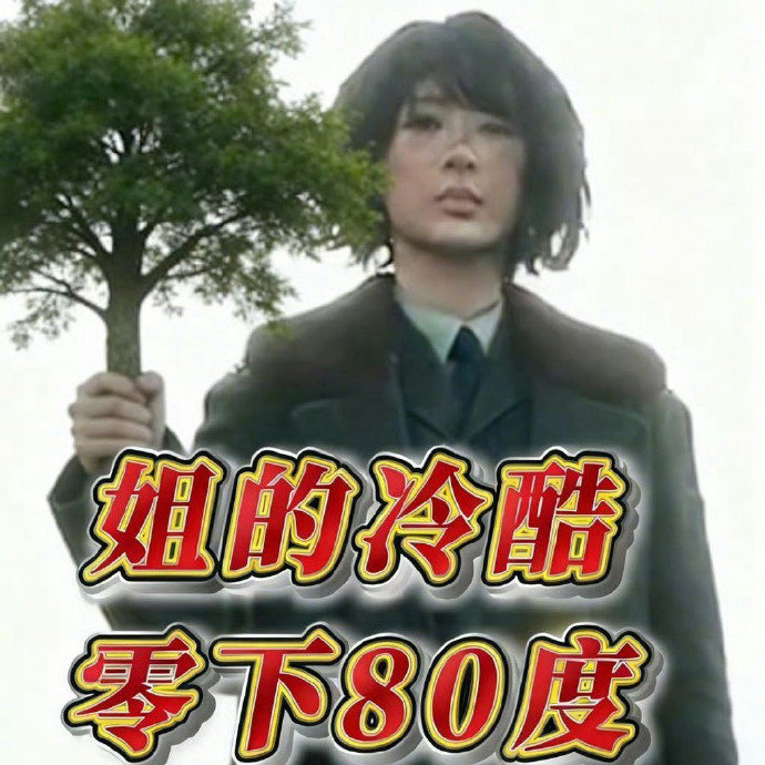 杨紫又换生命树新头像了 杨紫超爱生命树 杨紫高强度冲浪中，又换了生命树新头像，