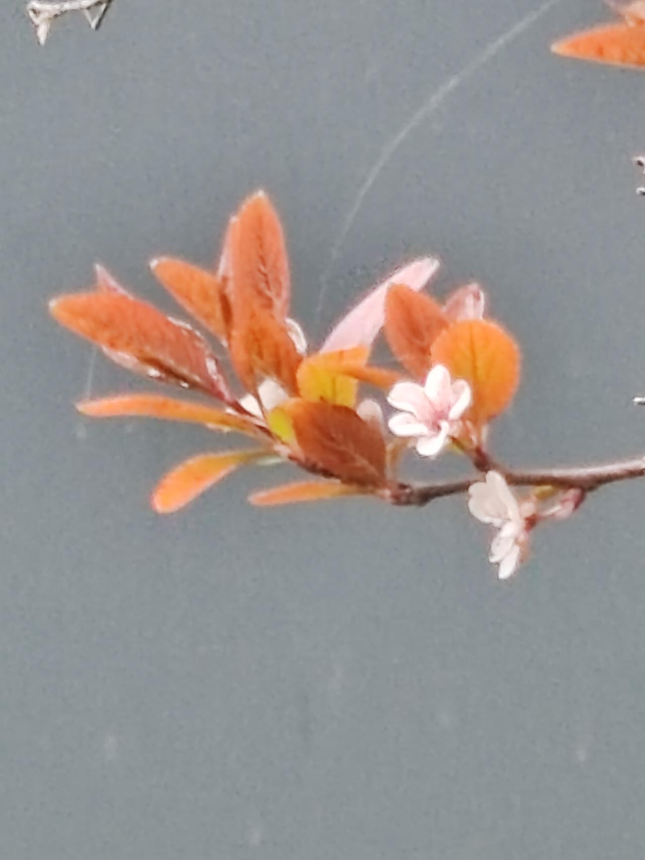 1700元够吃够喝，比没有退休金的强多了。虽说每个月就1700元退休金，可精打细