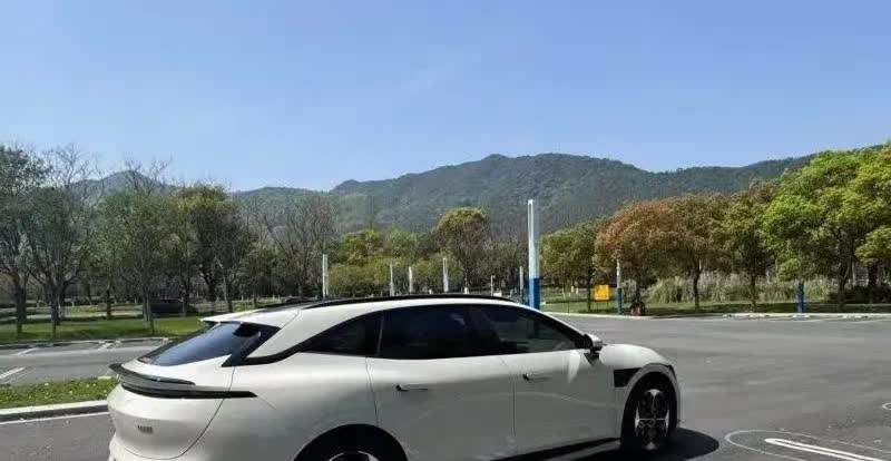 2025年第一季度中国新势力高端豪华品牌销量排名：1. 极氪科技：114,0