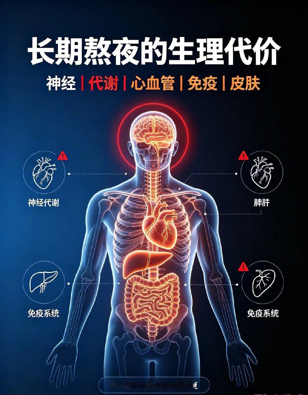 长期熬夜会对人体产生哪些生理效应？一、神经系统（最先受损）1.大脑认知衰退睡眠
