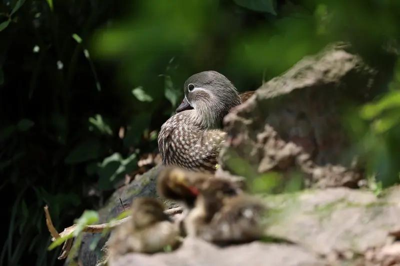 【杭州妈妈遭遇钢琴“租赁陷阱”，两年租金血本无归，维权之路令人心碎！】近