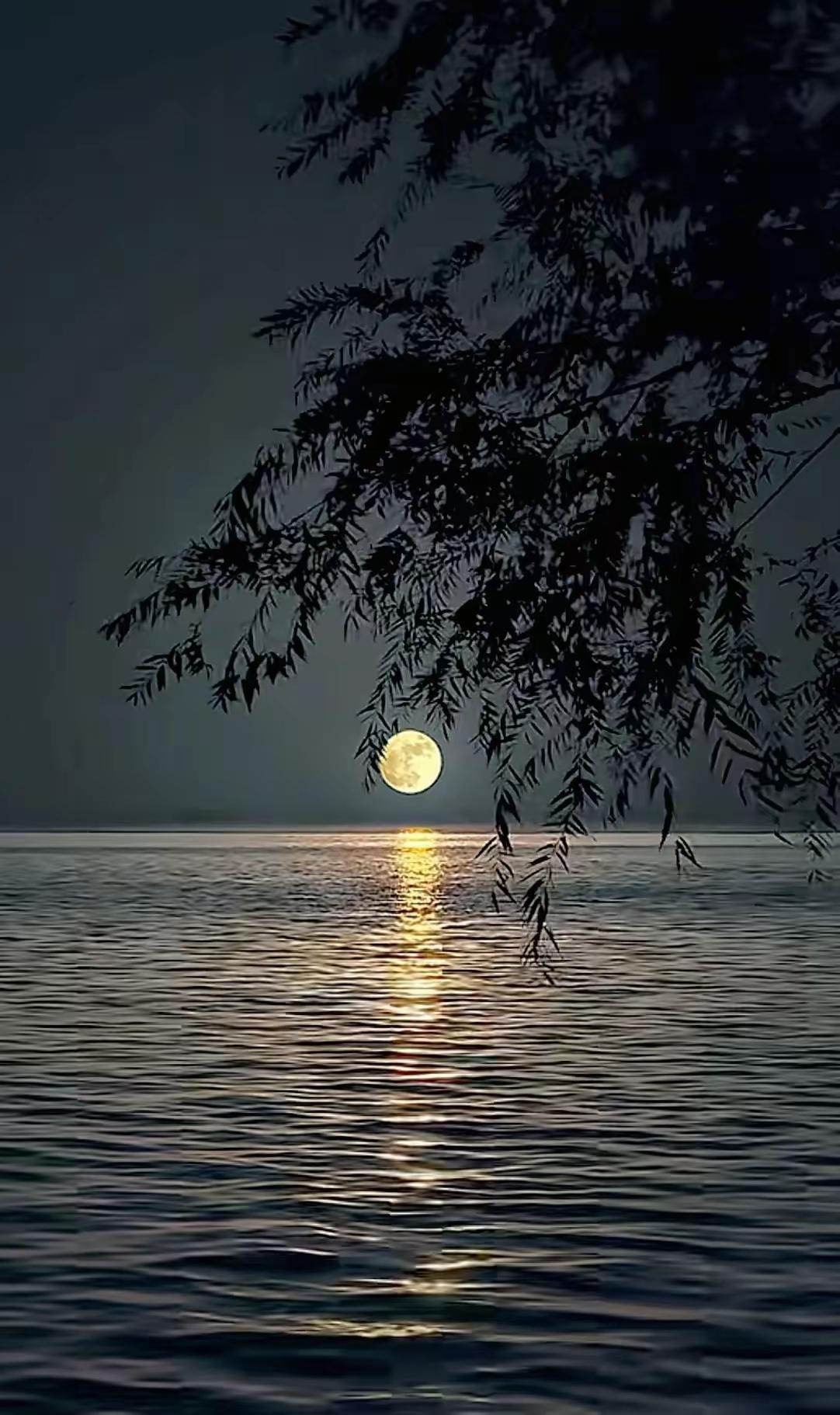 月光洒满湖面，静谧如梦
