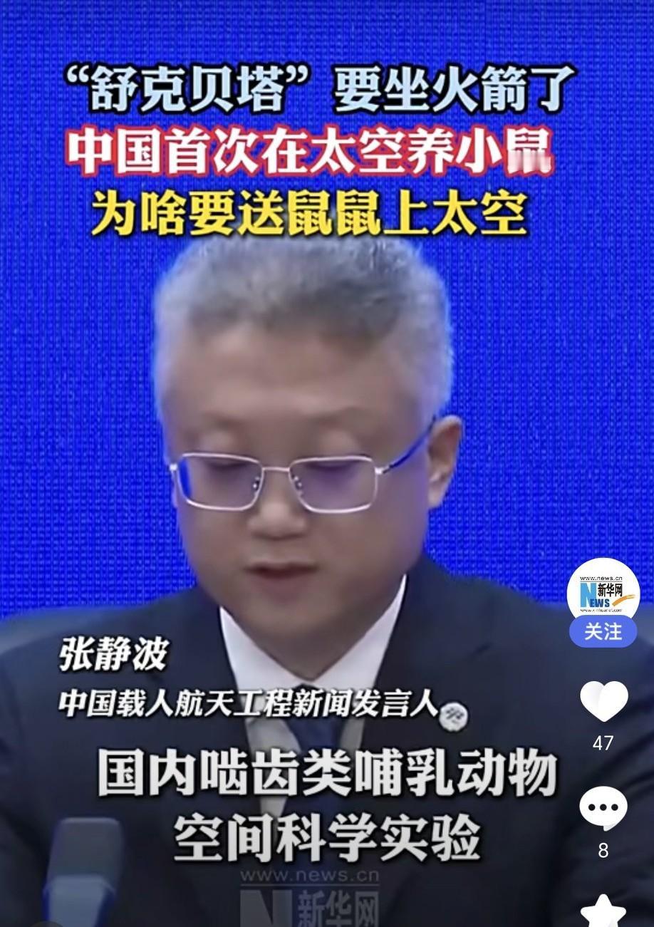 10月30日,4只小鼠“航天员”要随神舟二十一号飞船出征太空啦!新闻一出来,大家