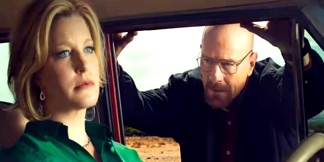 敢打赌，美剧史上恐怕再也找不出第二个像斯凯勒这样，被观众追着骂了十几年的女主角了