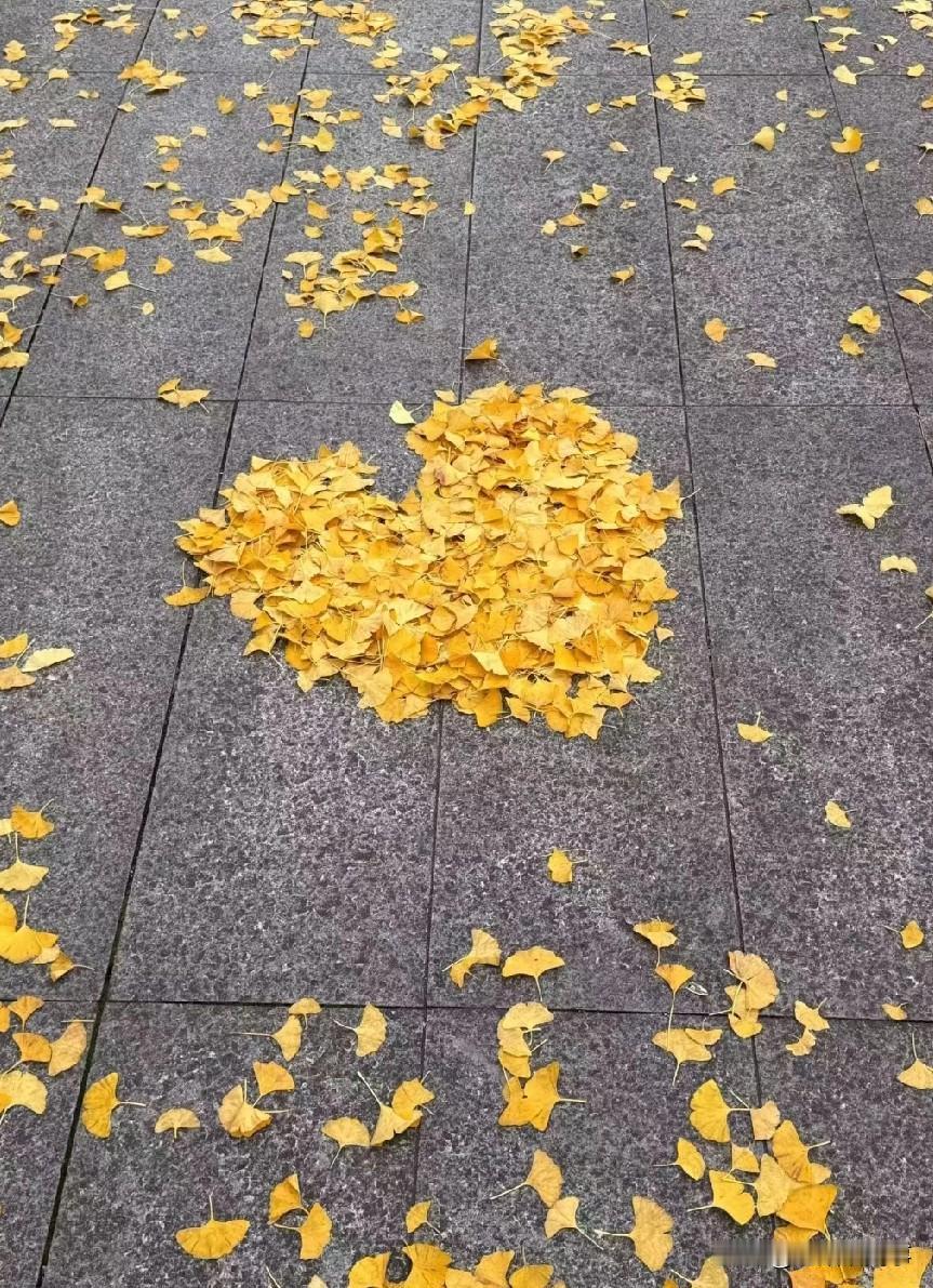 不会吵架，不会骂人，不会撒谎，在今天竟然也成了错。周三孩子放学早，难得让他在