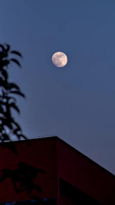 上联：一帘月色清风绕；下联：几缕花香雅韵生。