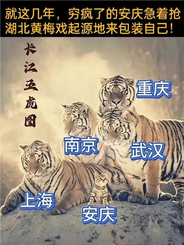 “经济不行就发展黄梅戏”确实有道理，湖北安徽为黄梅戏起源争得不可开交，其实没必要