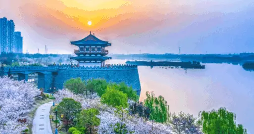 瀍河民生实事暖人心：多部门联动解民忧 基层治理添新力