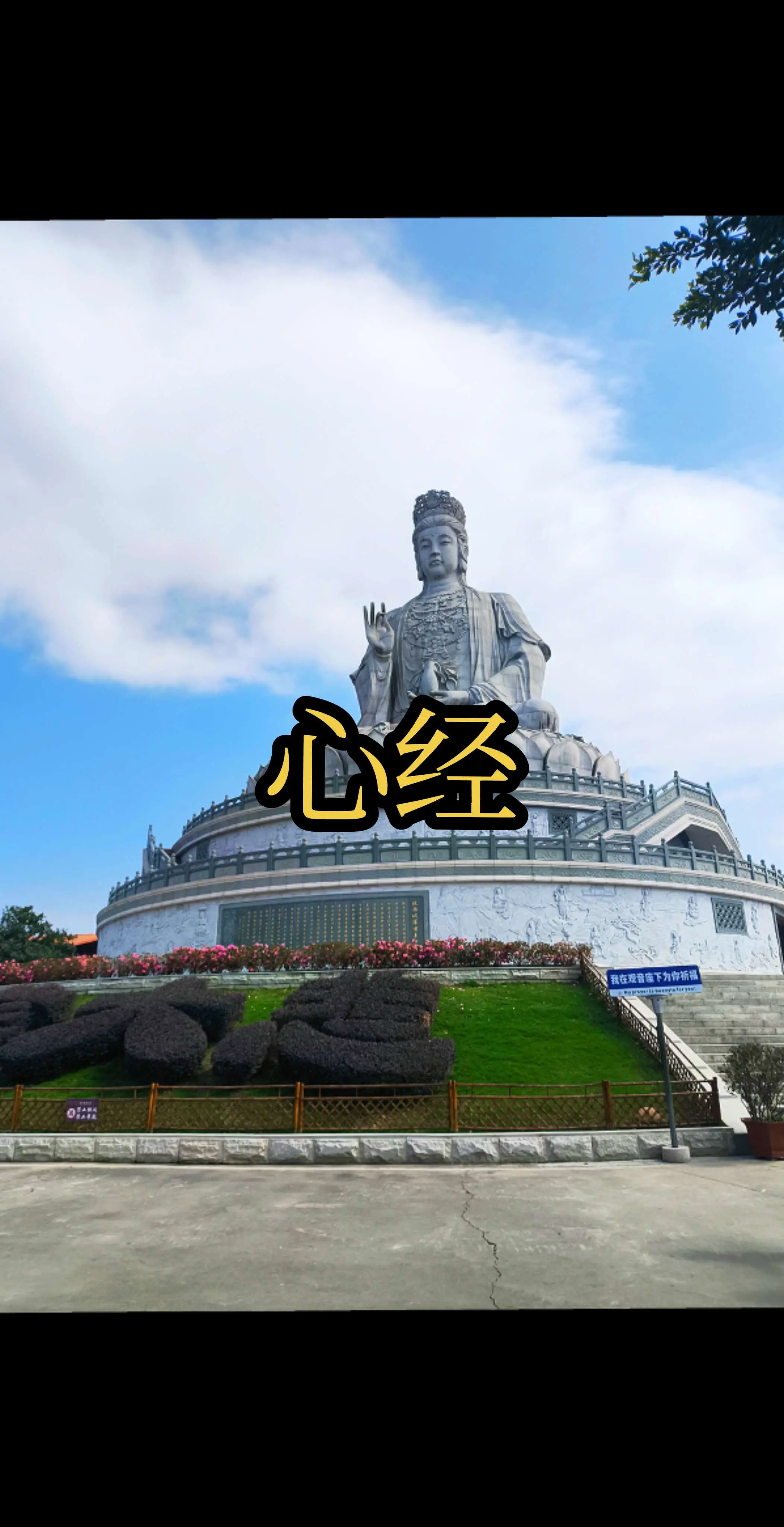 观自在菩萨，行深般若波罗蜜多时，照见五蕴皆空，度一切苦厄。 舍利子，色...