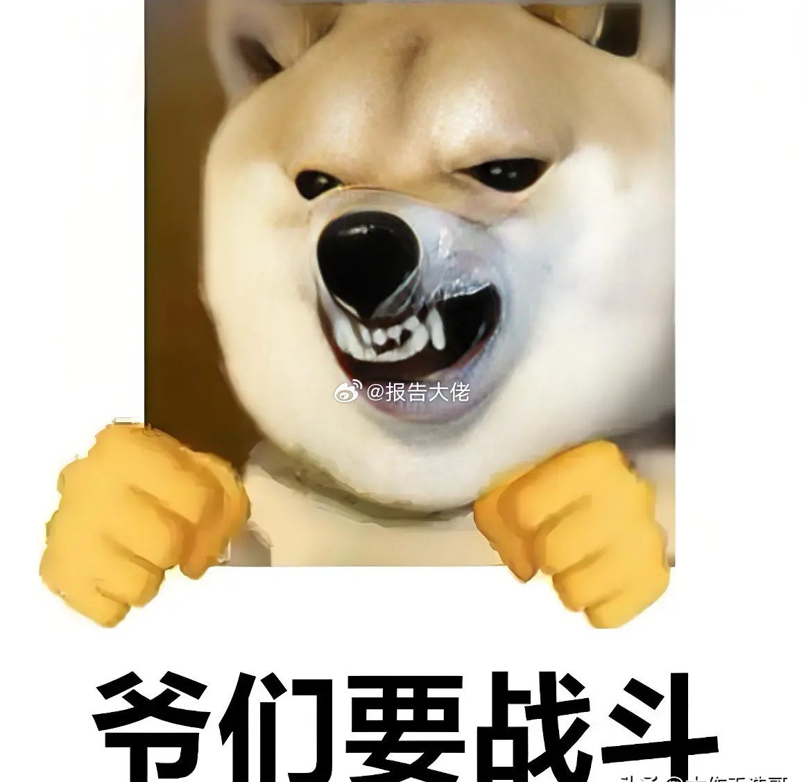 市场人气热股点评1.大东南：核心概念为特高压电容膜、光伏背板膜、算电协同，电容