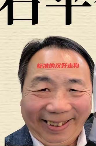 日本人都被他整不会了！经典的反派！被策反后，又被当成工具来恶心祖国！经常说“汉