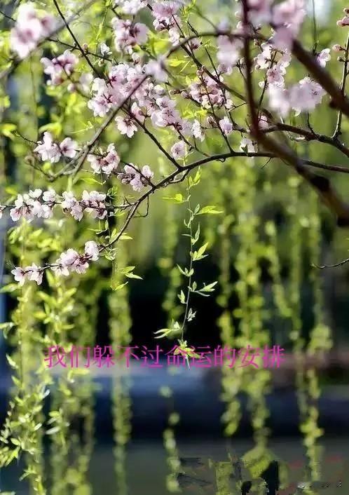 不管大家信不信，我是彻底信了！人到40是一道坎，会出现经济危机，不死也得脱层