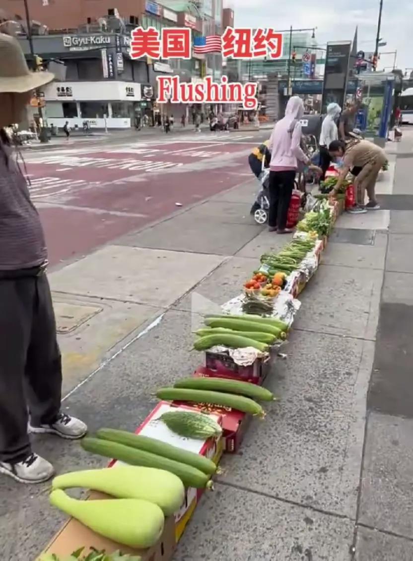 我就说一句：纽约法拉盛的早市，是中国大爷大妈用一把韭菜，在美国本土打赢的一场农产