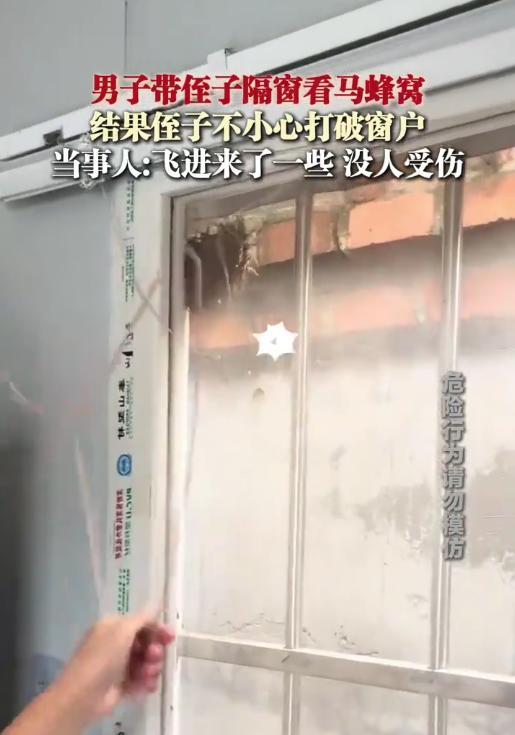 太惊险了！北京，男子带侄子隔窗看马蜂窝，不料，小孩子好奇，用衣架去敲玻璃，一下竟