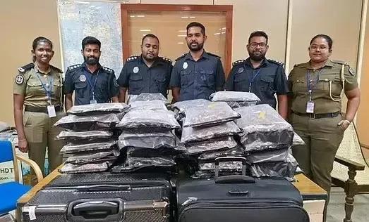 被塞拉利昂总统称为死亡陷阱的“KUSH”，竟然是一种新型毒品。更为离奇的是吸食此