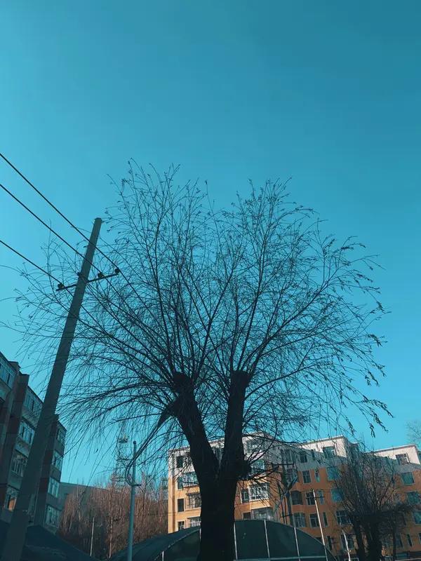 一段非常通透的话：世上属于你的东西，就两样。一样是身体，只要你无病无灾，不痛不痒