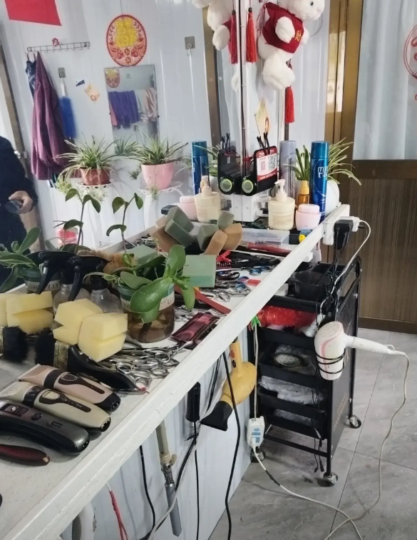 去年年底，村里新开了一家理发店，简简单单的一间活动板房，稍微装修了一下就开业了。