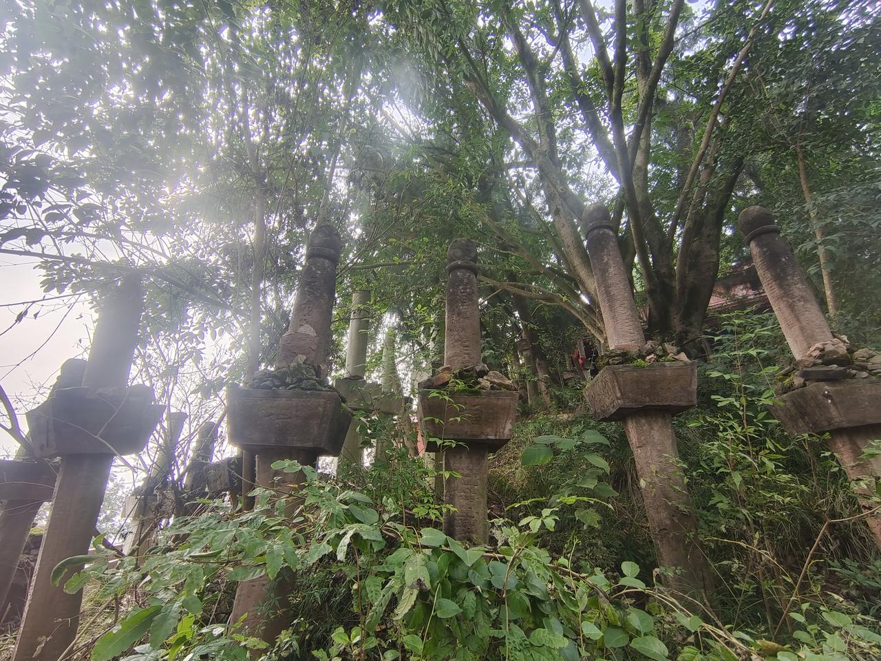 冬日生活打卡季这是剑冢埋剑的地方吗？