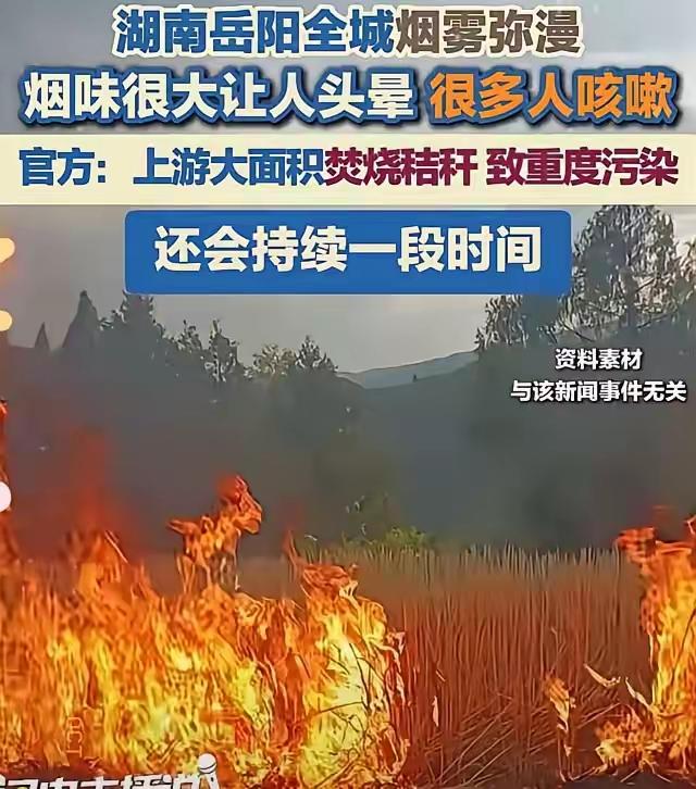 烧秸秆不是污染是农民给土地开的药方你骂烟呛人可没人比农民更怕自家粮食有