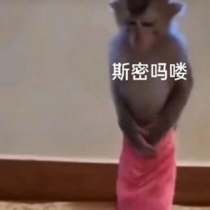 根本不敢看我的那年今日，太缺德了