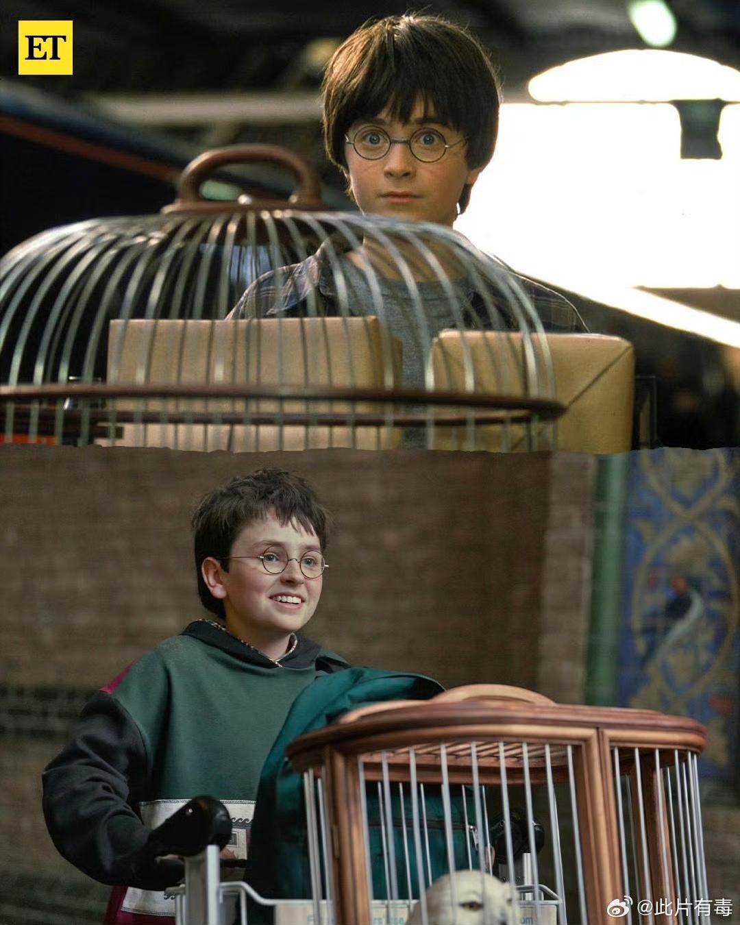 影版VS剧版哈利波特角色对比……网友：哈利波特像谭咏麟/斯内普还不如找沈腾呢