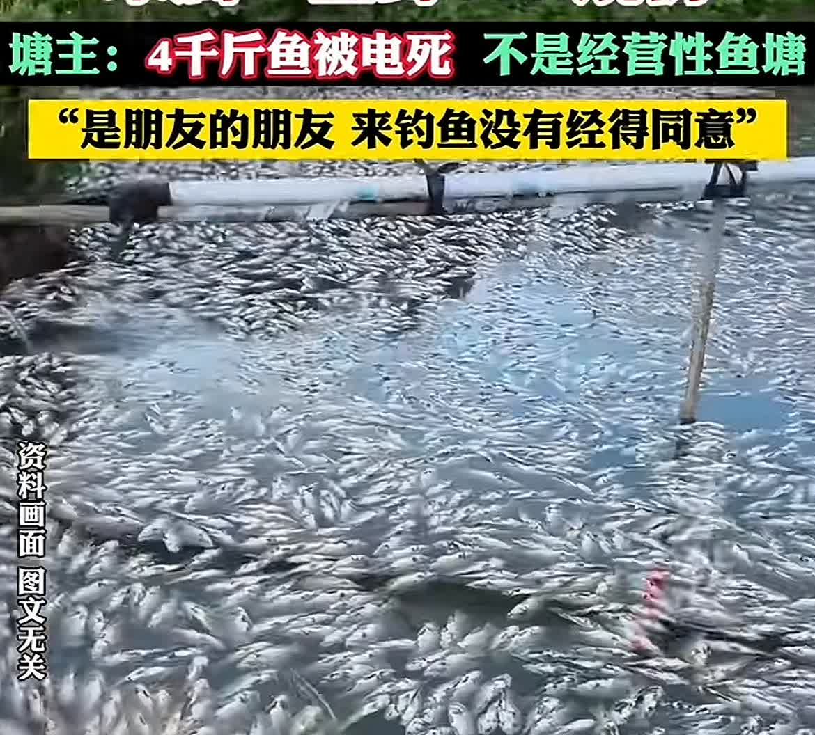 这鱼塘老板损失大了！广西桂林，28岁男子和朋友去鱼塘钓鱼，没想到用力过猛，碰到了