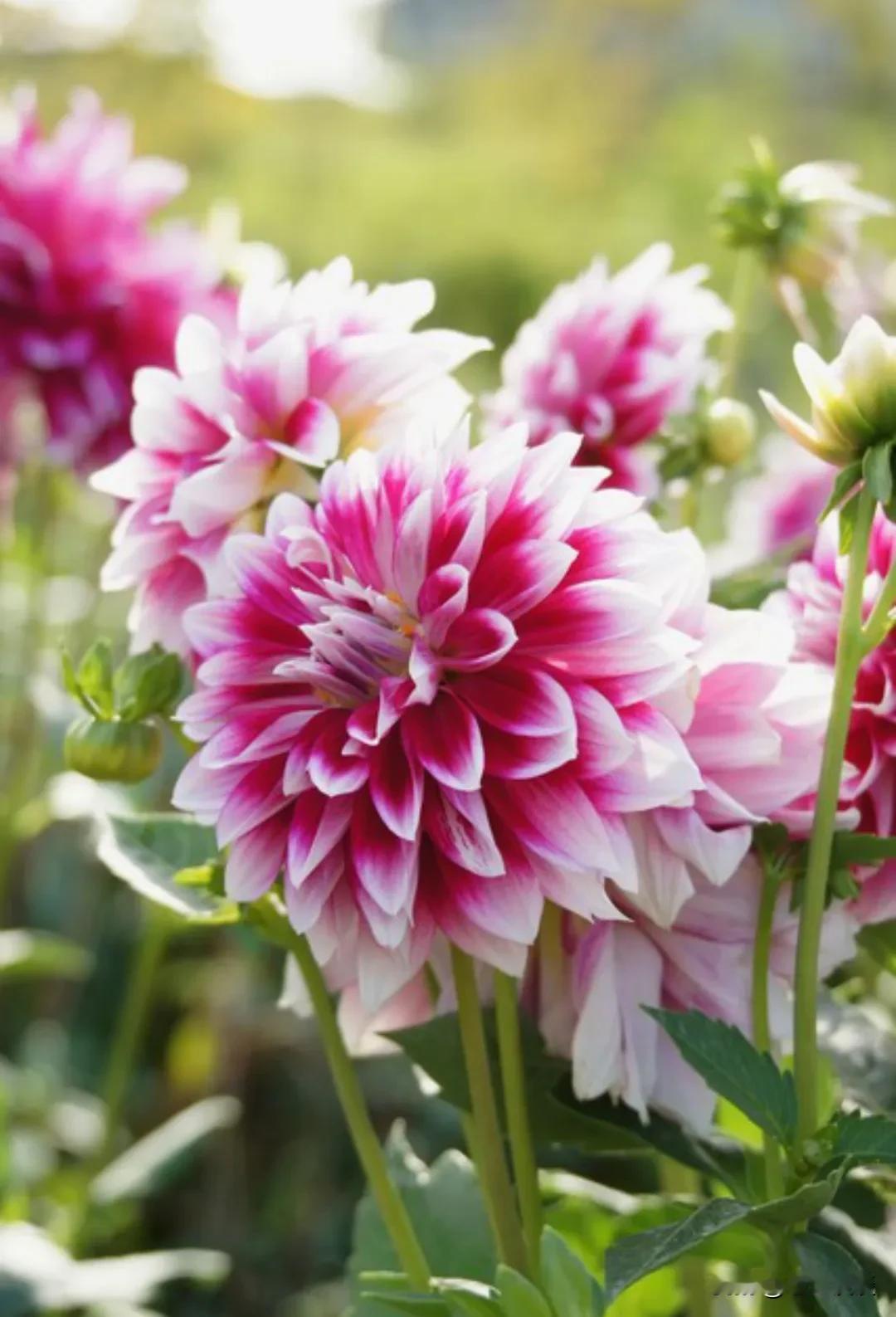 很有道理的一句话:“如果不是因为生理需求，男人是不喜欢跟女人聊天的。在绝大多数情