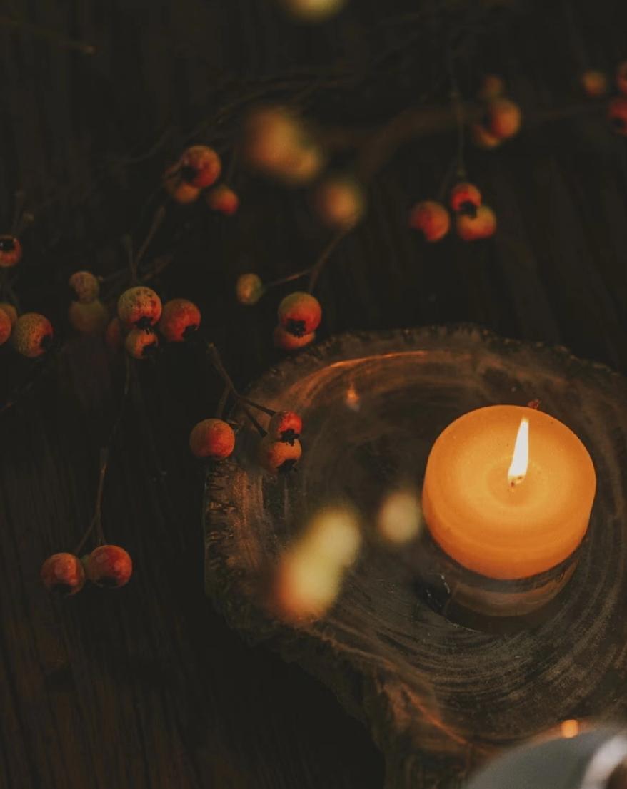 一段非常现实的话：“社会就是一个生物链，一物降一物，言语压君子，衣冠镇小人，对付