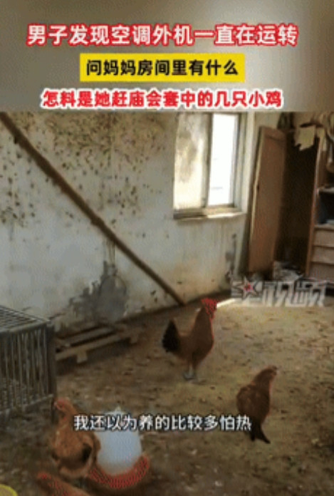 笑不活了！”安徽，男子发现杂物室没人，空调却一直开着，他问妈妈里面有什么？没想到