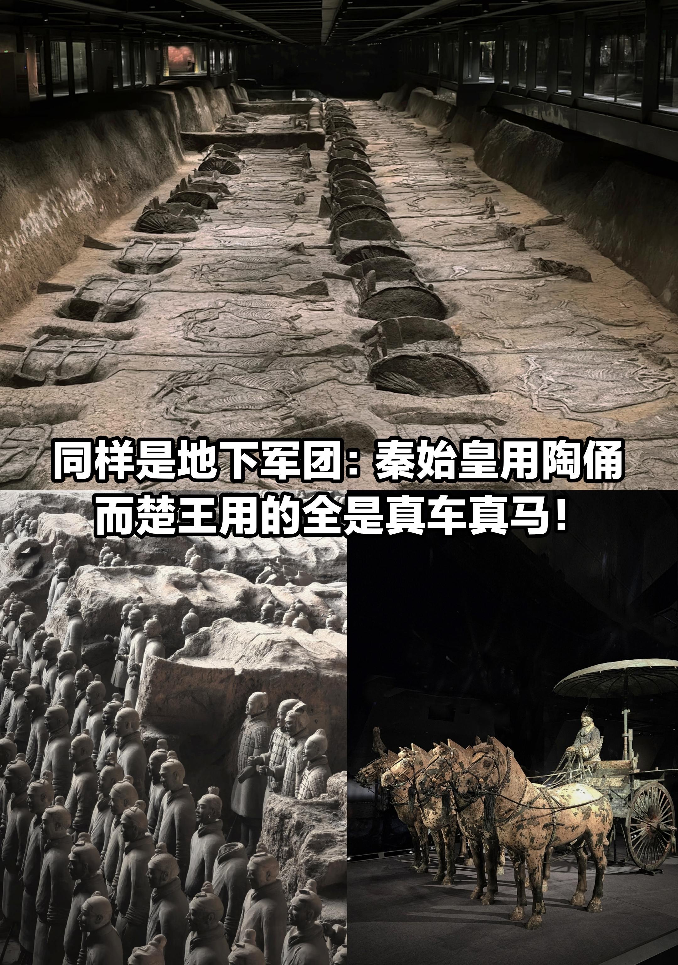 秦始皇用陶土，而楚王用的全是真车真马。