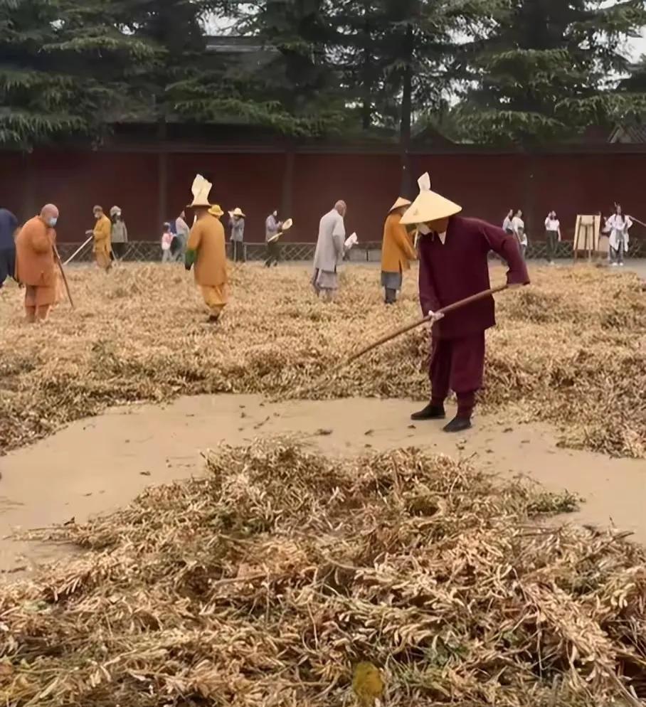 果然没猜错，少林寺新方丈实行新规后，已有30多人离职不干了！7月29日，释印乐