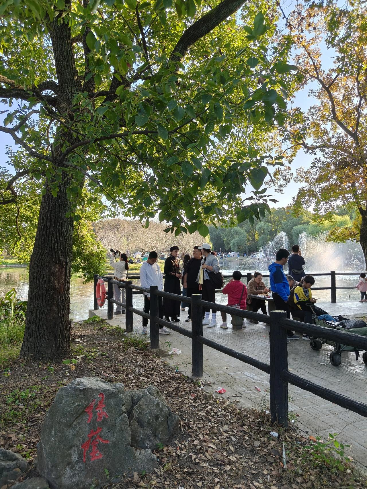 冬日出游随手拍实景图分享！共青森林公园菊花展随手拍实景图分享！