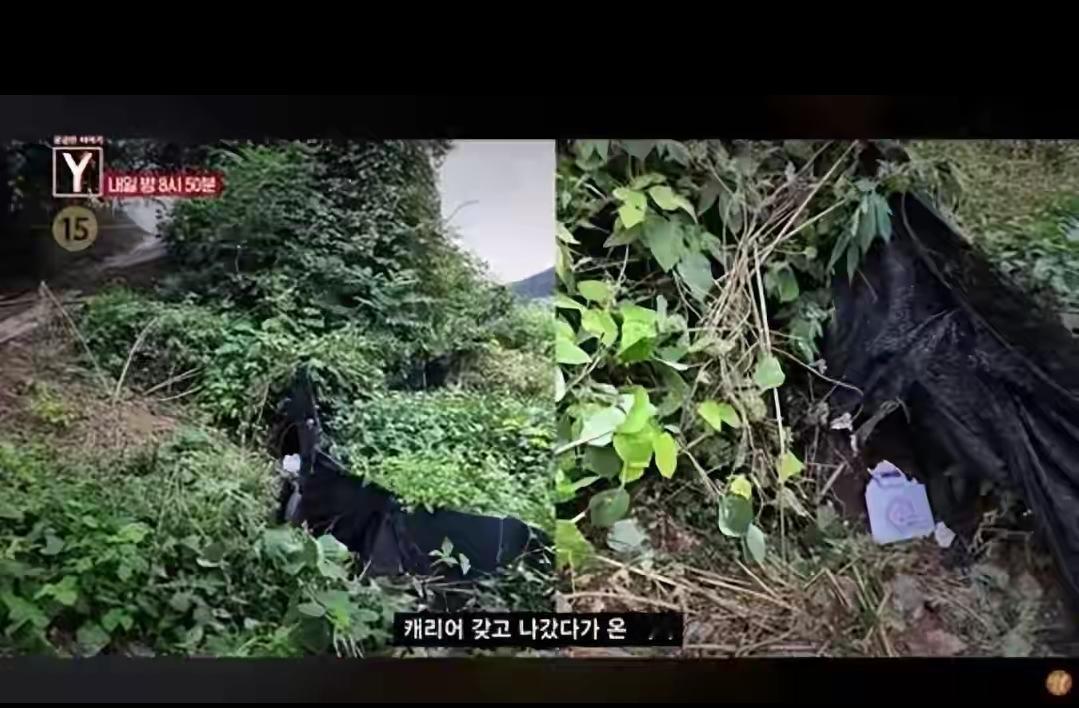 25岁女主播直播结束30分钟后发现死在山上，嫌疑人为50多岁榜一大哥，背负巨额债